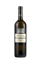 Chardonnay 2019 pozdní sběr