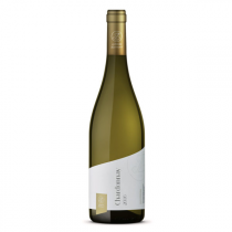 Chardonnay 2017 pozdní sběr