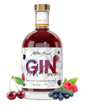 Anton Kaapl GIN likér 35% 0,7 l
