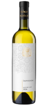 Sauvignon 2024 pozdní sběr